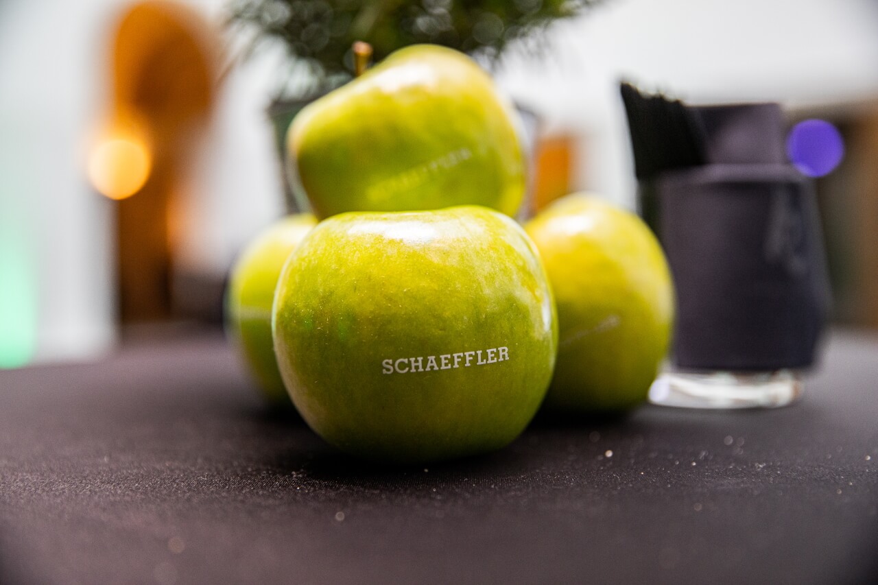 Встреча дистрибьюторов Schaeffler group 2019 в Будапеште